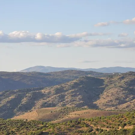 Casa Dona Maria Luiza בית כפרי טורה דה מונקורבו