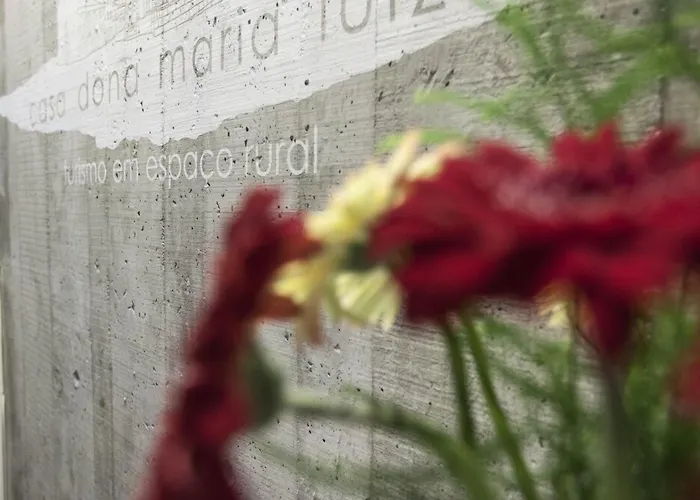 Casa Dona Maria Luiza 컨트리하우스 토레드몽코보